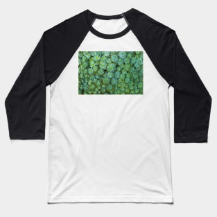 Green Succulent Baseball T-Shirt